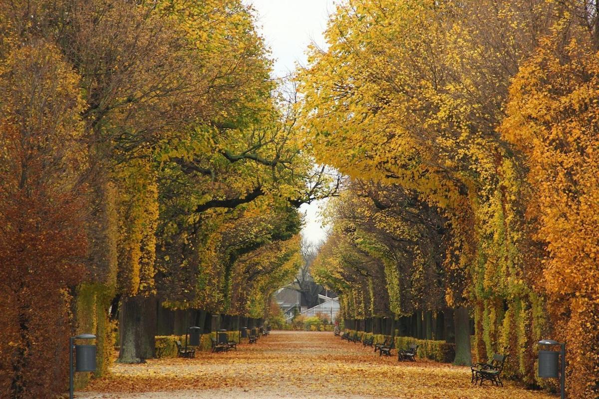 Majestic Wien